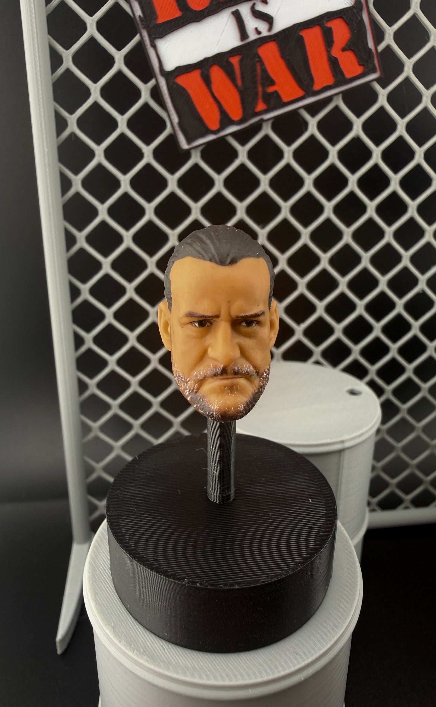 WWE Ultimate(Loose Figure)- CM Punk Action Figure