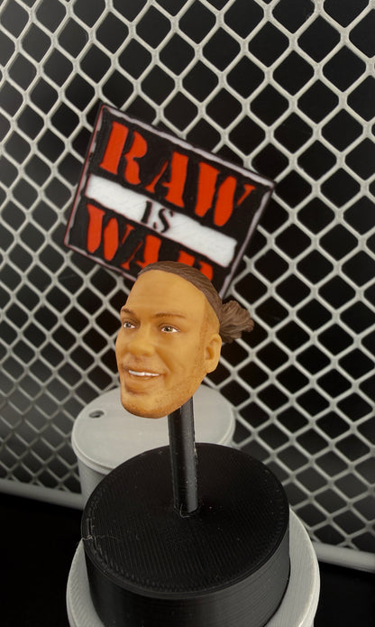 WWE Ultimate(Loose Figure)- Rob Van Dam Action Figure