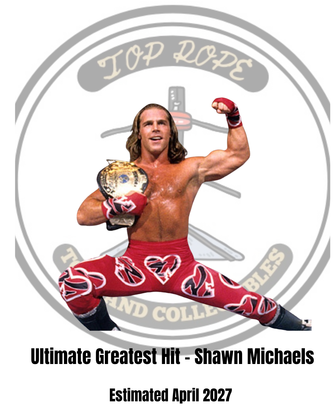 WWE Ultimate- Shawn Michaels Action Figure